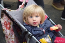 A4Daagse 2017 - vrijdag (2/15)