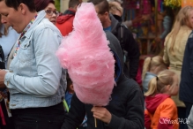 A4Daagse 2017 - vrijdag (2/15)