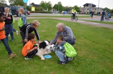 A4Daagse 2017 - vrijdag (1/15)