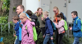 A4Daagse 2017 - vrijdag (5/15)
