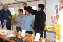 A4Daagse 2017 - vrijdag (1/15)