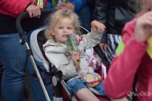 A4Daagse 2017 - vrijdag (9/15)