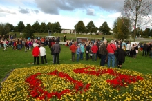 50 jaar Biddinghuizen: Onthulling Jubileumboom