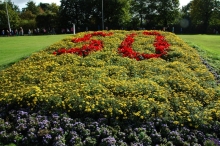 50 jaar Biddinghuizen: Onthulling Jubileumboom