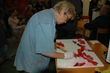 50 jaar Biddinghuizen: DVD 50 Jaar