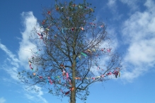 50 jaar Biddinghuizen: Overzicht Feestweek