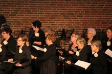 Jubileumconcert 50 jaar Biddinghuizen (2)