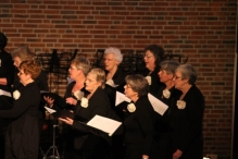 Jubileumconcert 50 jaar Biddinghuizen (2)