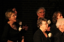 Jubileumconcert 50 jaar Biddinghuizen (3)