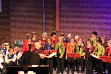 Jubileumconcert 50 jaar Biddinghuizen (3)