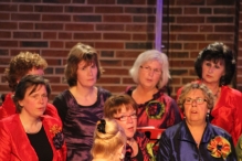 Jubileumconcert 50 jaar Biddinghuizen (3)