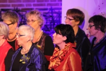 Jubileumconcert 50 jaar Biddinghuizen (3)