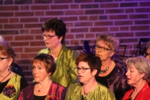 Jubileumconcert 50 jaar Biddinghuizen (3)