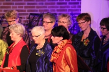 Jubileumconcert 50 jaar Biddinghuizen (4)