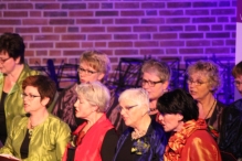 Jubileumconcert 50 jaar Biddinghuizen (4)