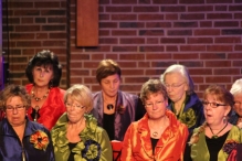 Jubileumconcert 50 jaar Biddinghuizen (4)