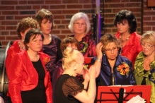 Jubileumconcert 50 jaar Biddinghuizen (4)