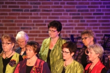 Jubileumconcert 50 jaar Biddinghuizen (4)