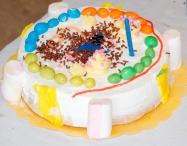 Bak een taart voor een ander (2)