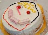 Bak een taart voor een ander (2)