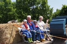 Rondrit oude tractoren