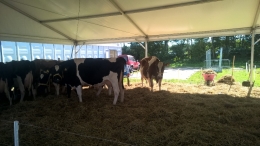 AgroTechniek Holland 2016 (2)
