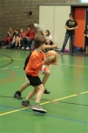 De Kubbe Scholenbasketbal