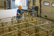 Schaap Holland 50 jaar - open dag