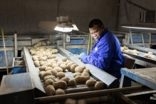 Schaap Holland 50 jaar - open dag