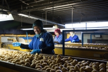 Schaap Holland 50 jaar - open dag