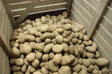 Schaap Holland 50 jaar - open dag