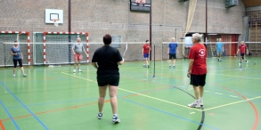 BHZSR: BAS Badminton