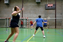 BHZSR: BAS Badminton
