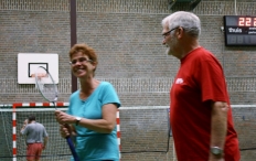 BHZSR: BAS Badminton