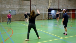 BHZSR: BAS Badminton