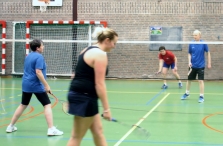 BHZSR: BAS Badminton