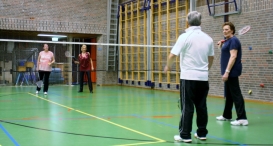 BHZSR: BAS Badminton