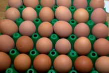 BHZSR: Pop-up Eetcafé