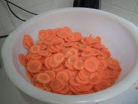 BHZSR16: Diversen (1)