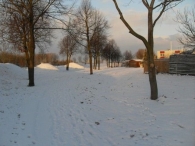 Winter in Biddinghuizen