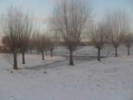 Winter in Biddinghuizen