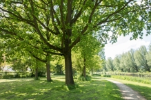 Diversen Biddinghuizen