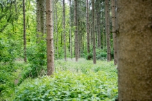 Diversen Biddinghuizen