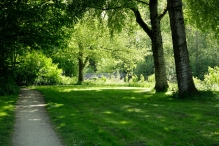 Diversen Biddinghuizen