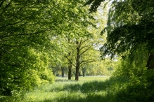 Diversen Biddinghuizen