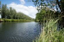 Diversen Biddinghuizen