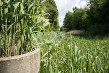 Diversen Biddinghuizen