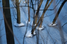 Winters Biddinghuizen