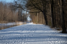 Winters Biddinghuizen