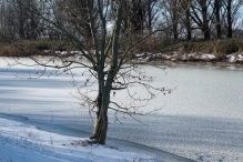 Winters Biddinghuizen
